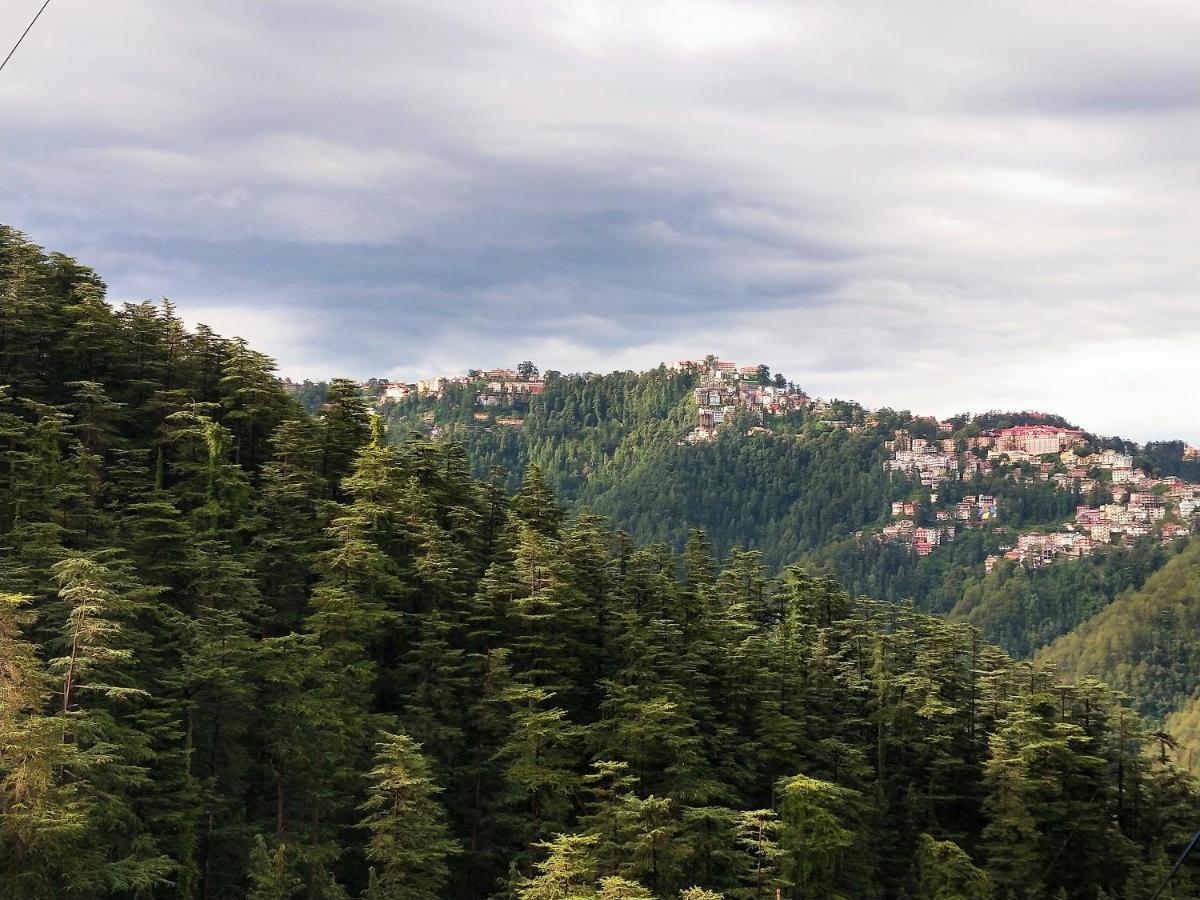 Neha Homestay Shimla Exterior foto