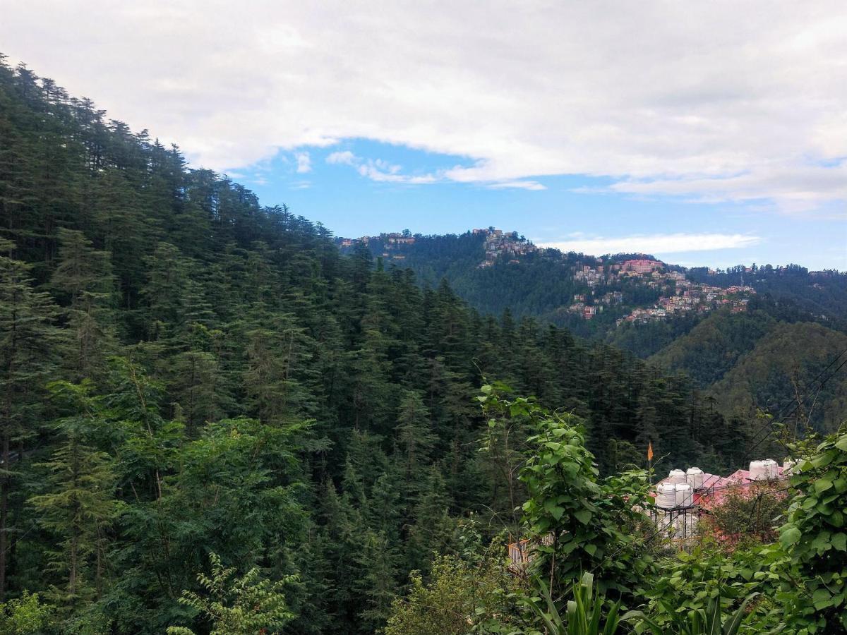 Neha Homestay Shimla Exterior foto