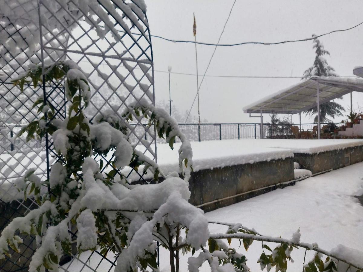 Neha Homestay Shimla Exterior foto