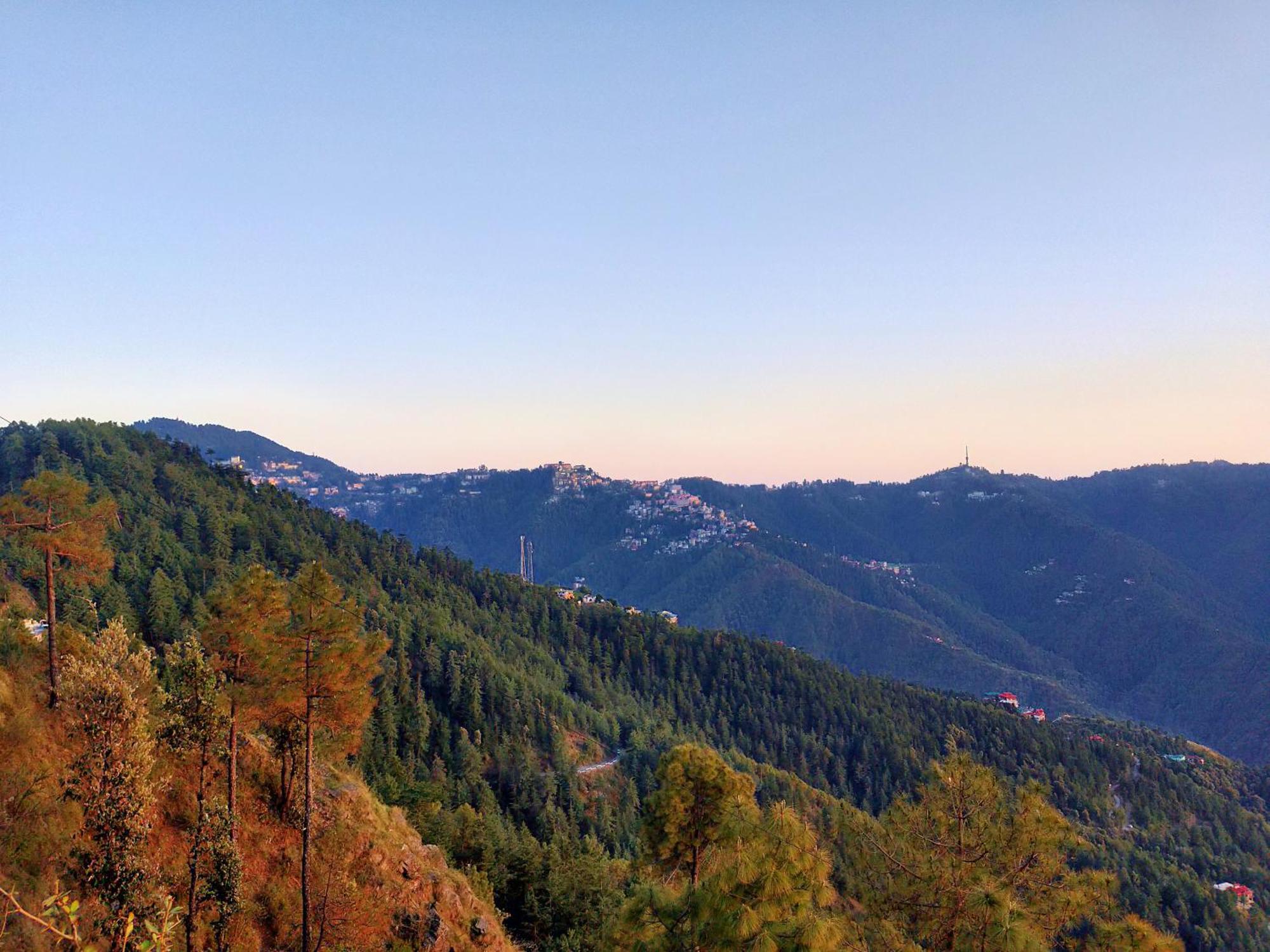 Neha Homestay Shimla Exterior foto