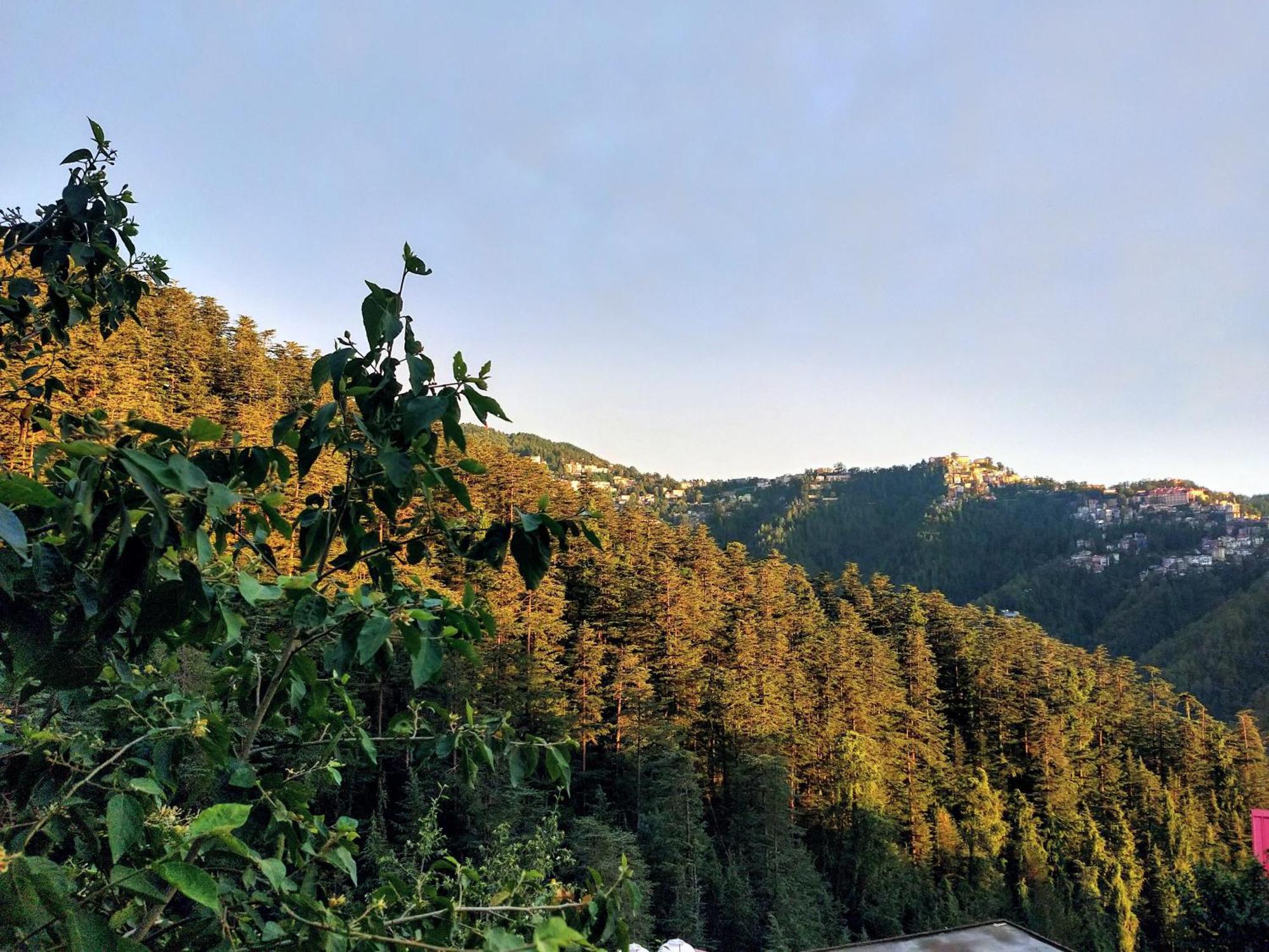 Neha Homestay Shimla Exterior foto